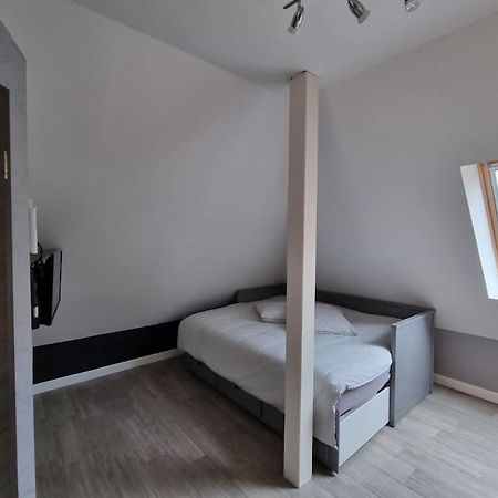 Studio De La Demi Lune Plobsheim Exteriör bild
